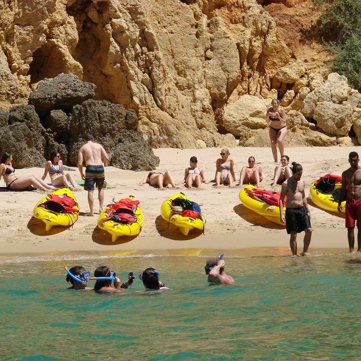 people resting on a beach